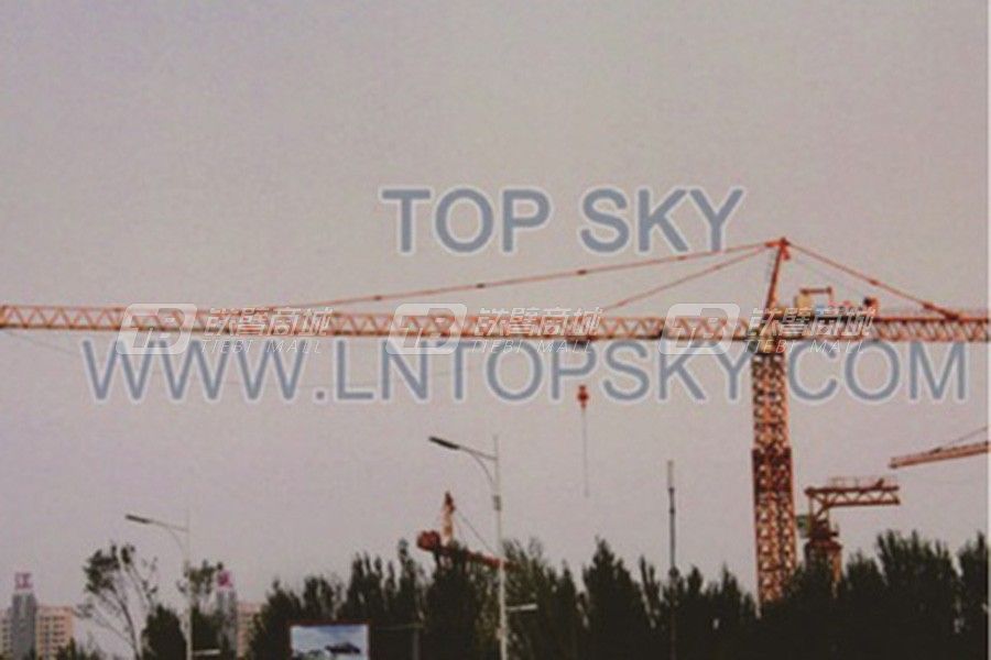 天一重工T7050-20塔式起重機
