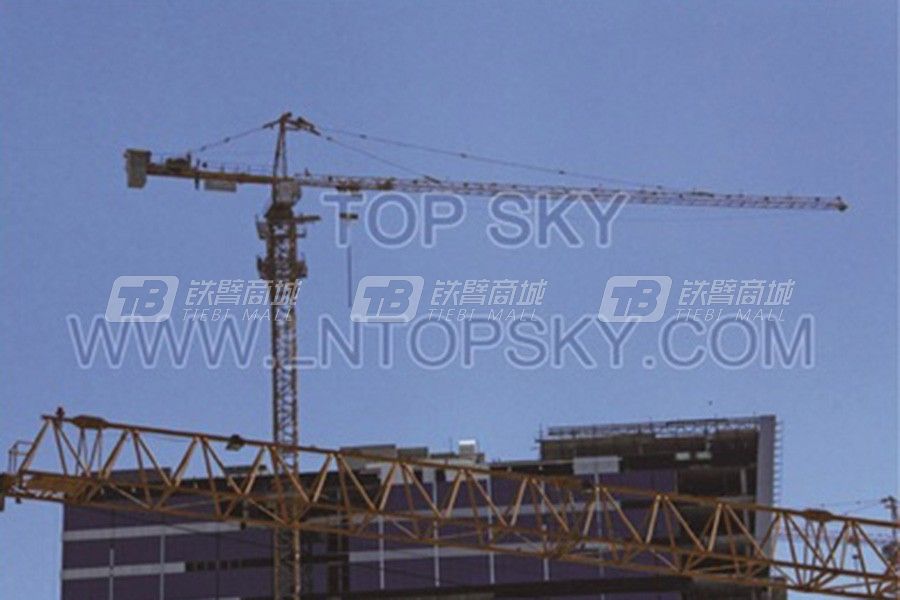天一重工T6015-10 (H25/15)塔式起重機